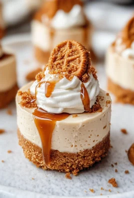 No Bake Mini Biscoff Cheesecakes